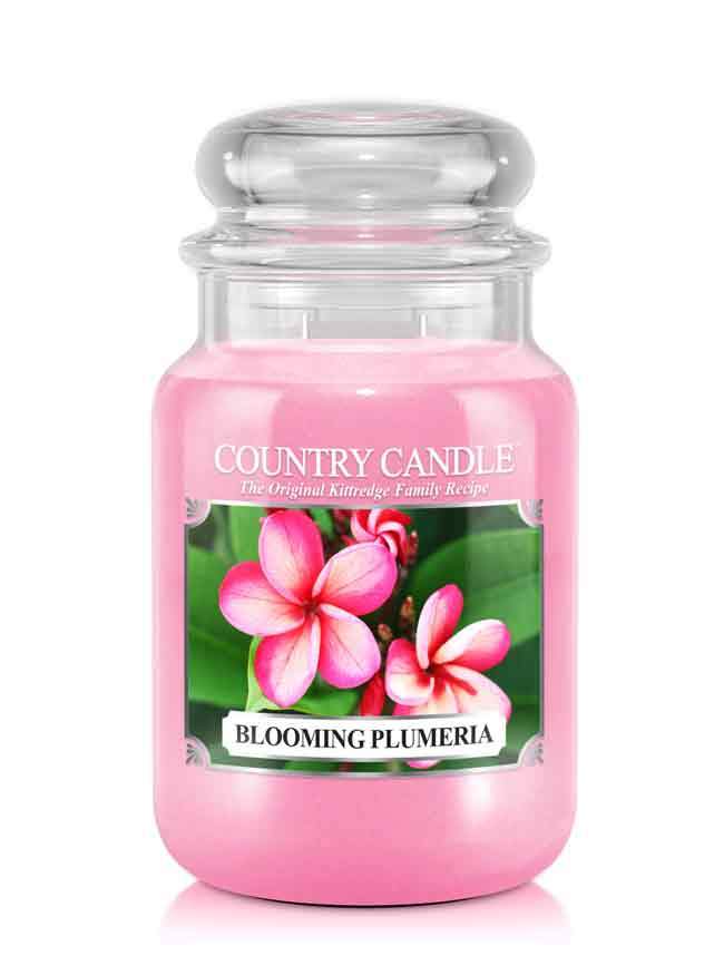 Blooming Plumeria - Kringle Candle Store