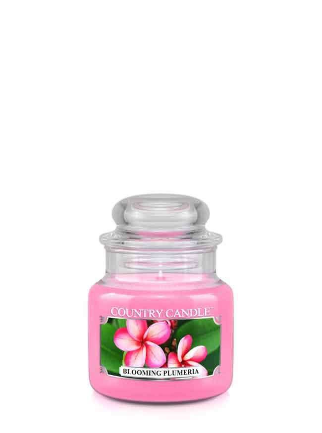 Blooming Plumeria - Kringle Candle Store